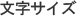 文字サイズ